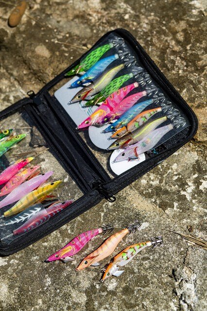 和歌山県／すさみ町 紀伊半島で秋イカをエギングで狙うコツ | つり人